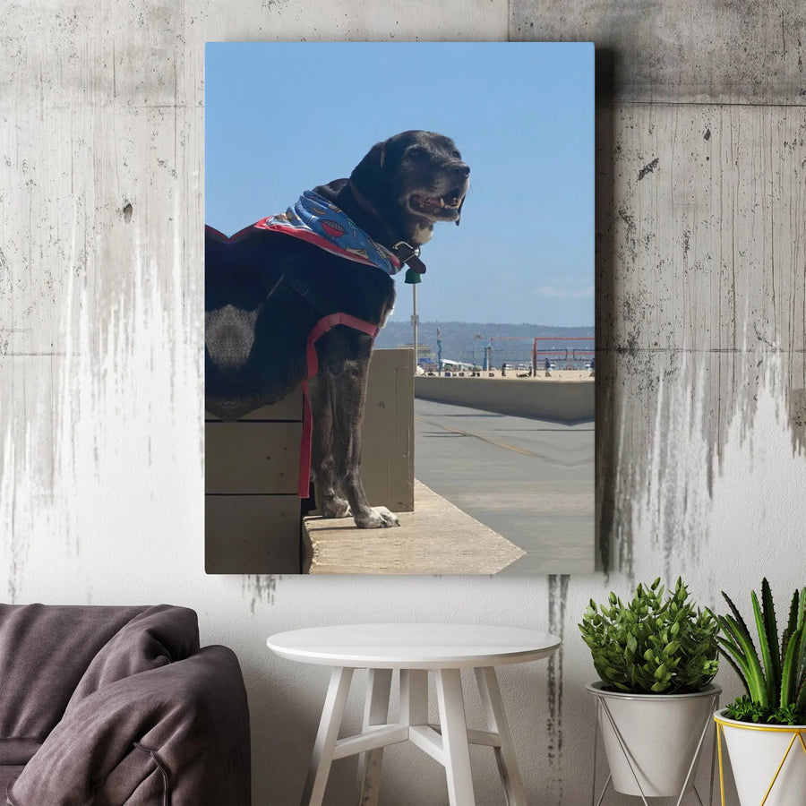 Black Dog Canvas Wall Art | Majestic Pet on a Sunny Beach Photo | Premium Gallery Wrap Canvas | Gift for Dog Lovers & Coastal Home Decor