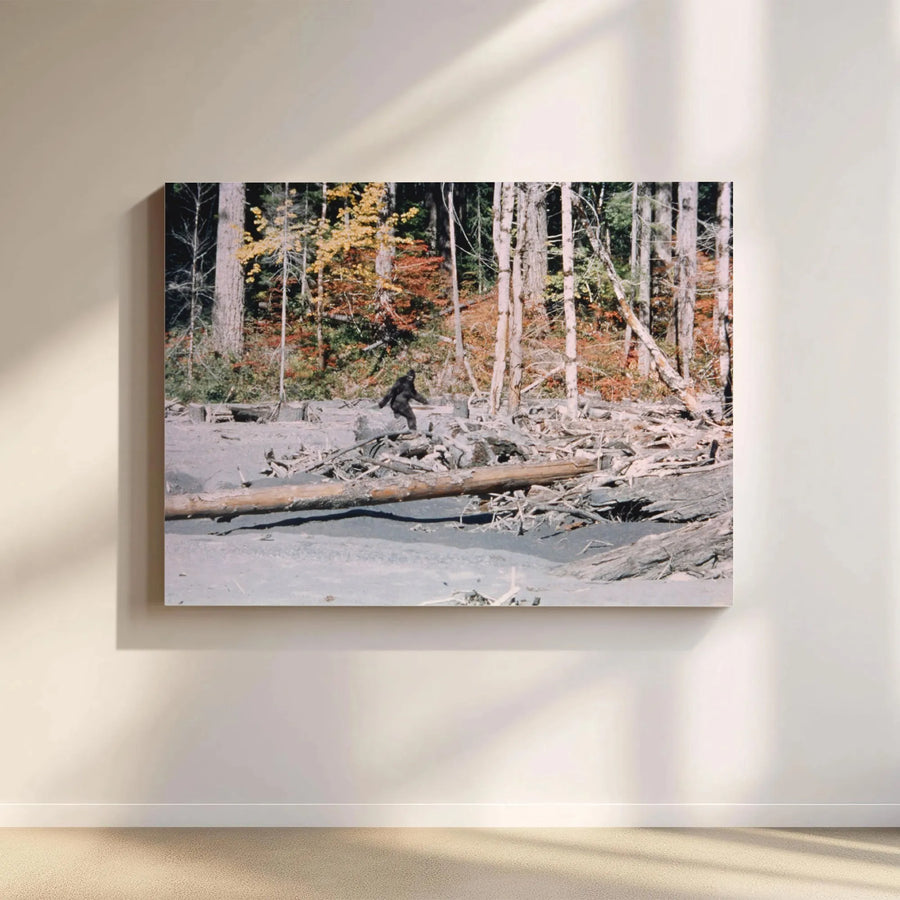 Bigfoot Canvas Wall Art | Authentic Patterson-Gimlin Film Still | Premium Gallery-Wrapped Print | Unique Cryptozoology Gift for Enthusiasts