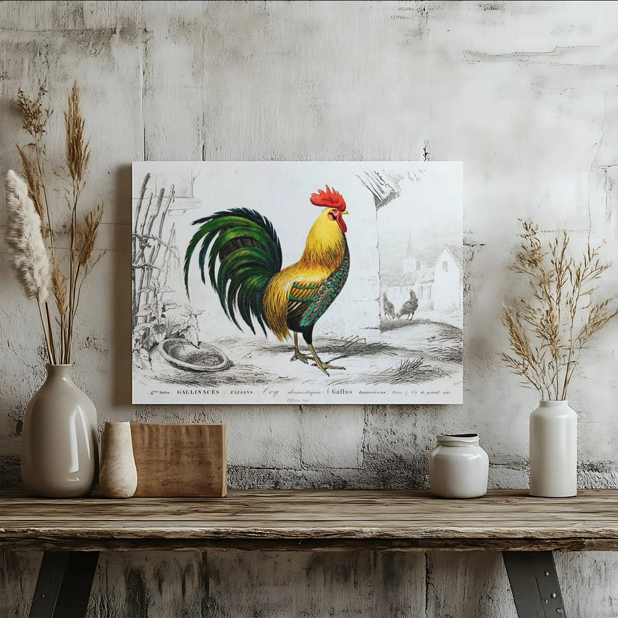 Vintage Rooster Wall Art Canvas | French Country Farmhouse Print | 1.25 Inch Gallery Wrap | Kitchen Decor For Home