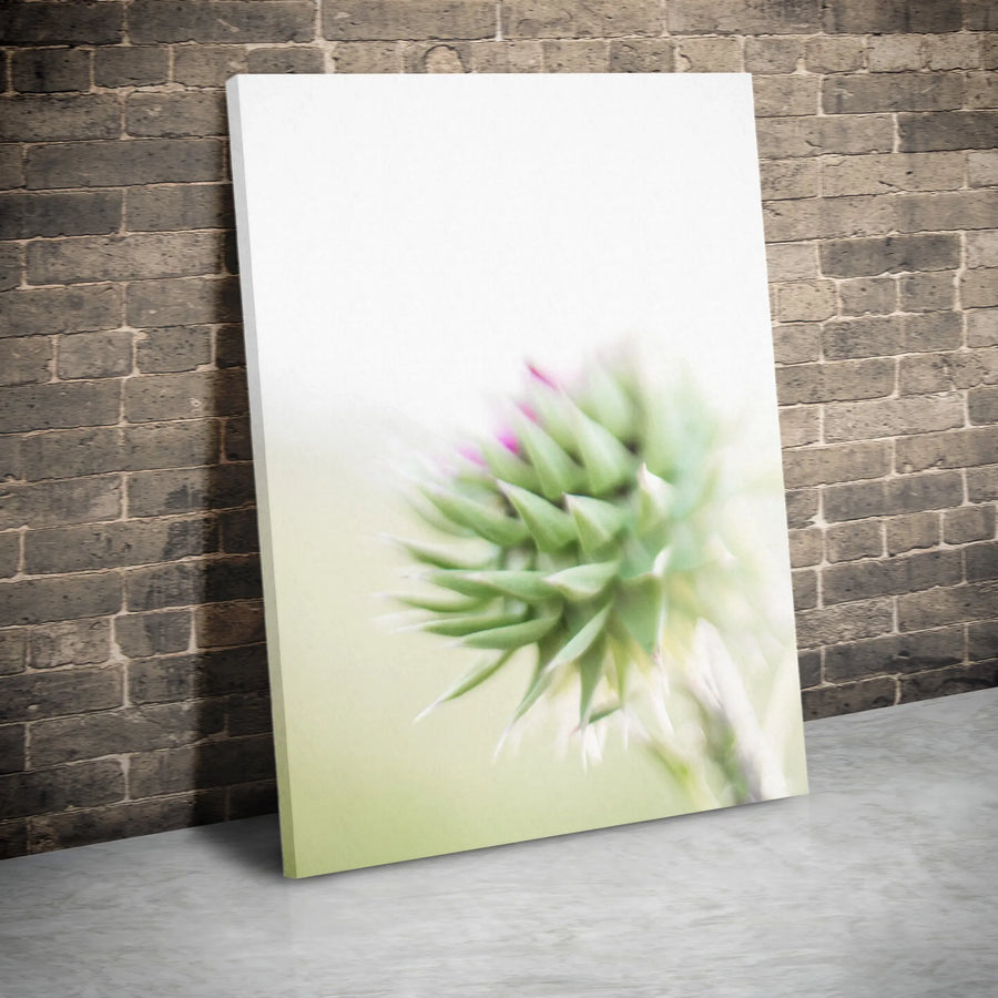 Abstract Thistle Canvas Wall Art | Minimalist Soft Focus Botanical Photography | Premium Thick Gallery Wrap | Modern Home & Office Decor Gift