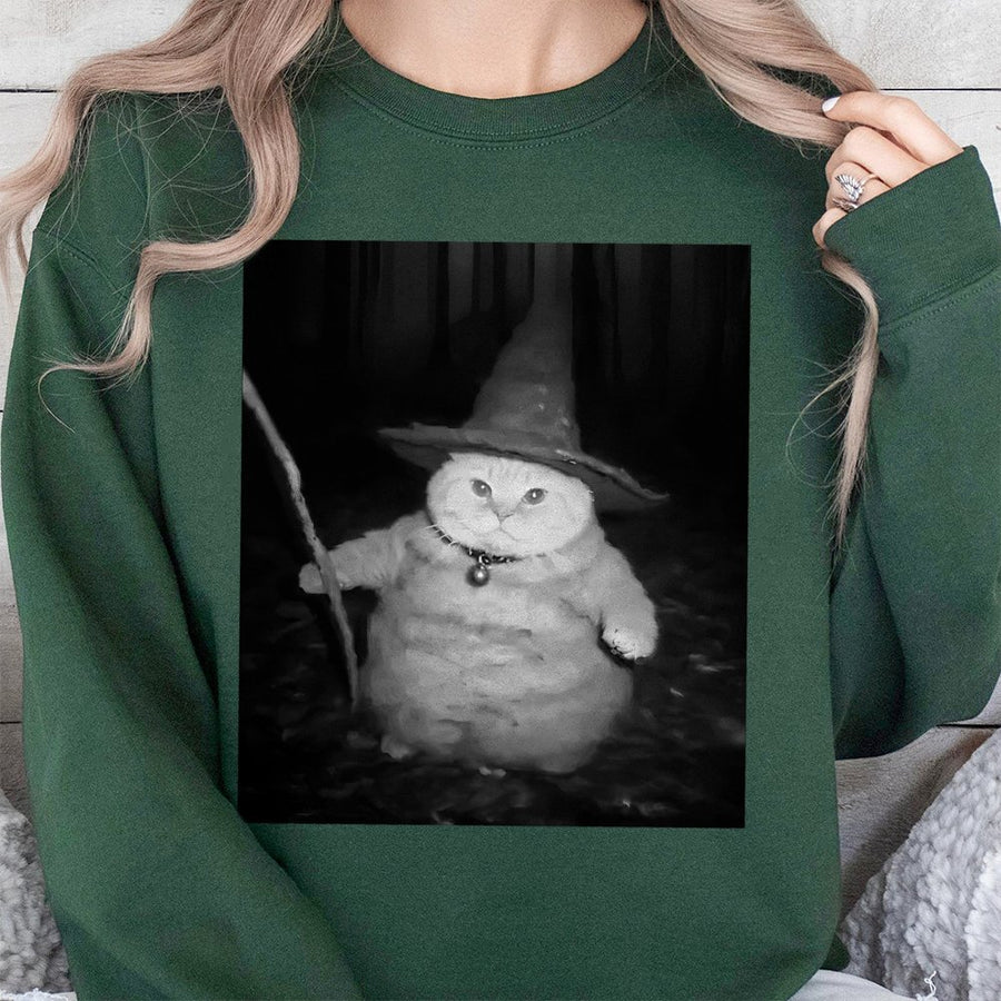 Wizard Cat Sweatshirt | Funny Chubby Cat in Witch Hat Design | Premium Cotton Blend Crewneck | Cute Animal Meme Gift for Cat Lovers