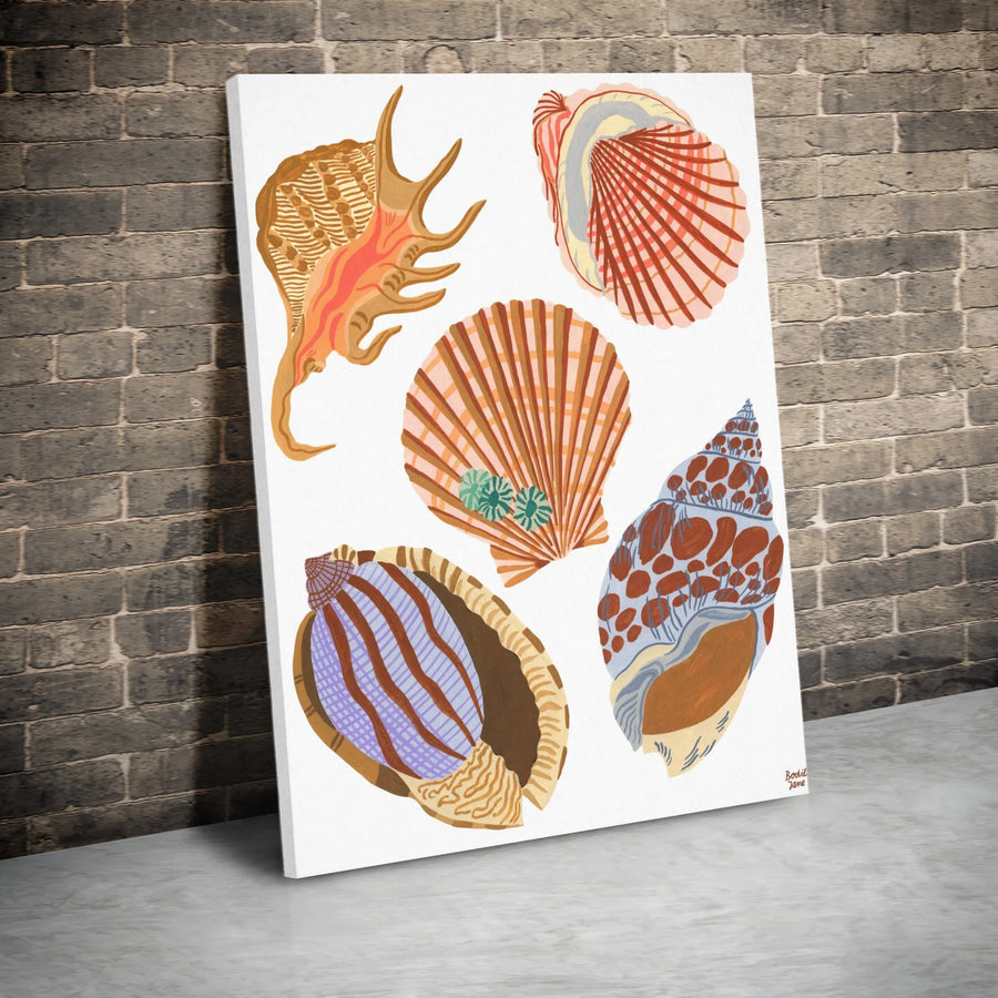 Seashell Canvas Wall Art | Illustrated Nautical Shells Print | Premium Gallery Wrapped Canvas | Modern Coastal Home Decor Gift