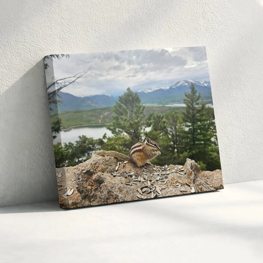 Chipmunk Canvas Wall Art | Rocky Mountain Wildlife Photography | Premium Matte Canvas Print | Rustic Cabin Decor Gift