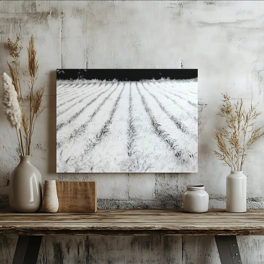 Black and White Farmhouse Canvas Print | Minimalist Cornfield Photo | Premium Gallery Wrapped Canvas | Modern Farmhouse Living Room Decor