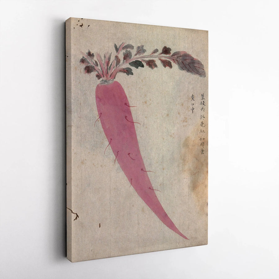 Vintage Japanese Radish Vertical Canvas | Antique Botanical Illustration with Calligraphy | Premium High-Resolution Print | Zen Kitchen Decor Gift