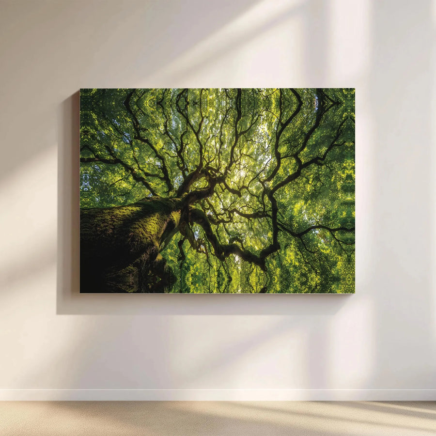 Tree of Life Canvas Wall Art | Kaleidoscopic Enchanted Forest View | Premium Gallery Wrapped Canvas | Nature Lover Living Room Decor Gift
