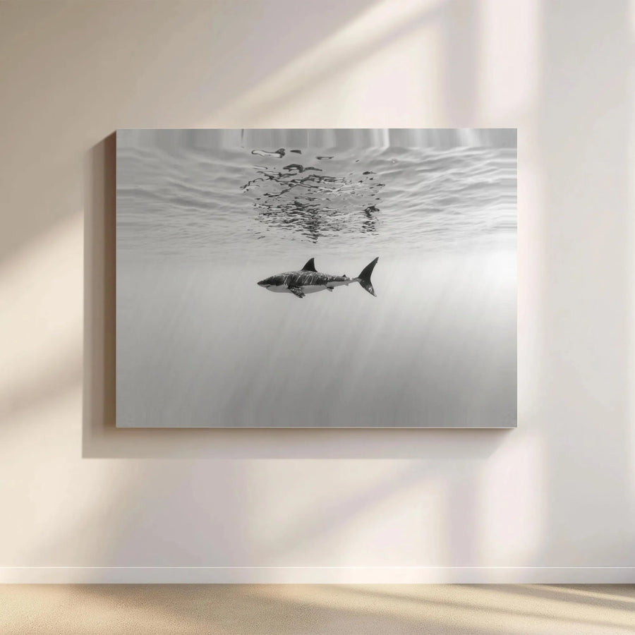 Great White Shark Canvas Art | Underwater Ocean Wildlife Photography | Premium Gallery Wrap Wall Decor | Masculine Office & Living Room Gift