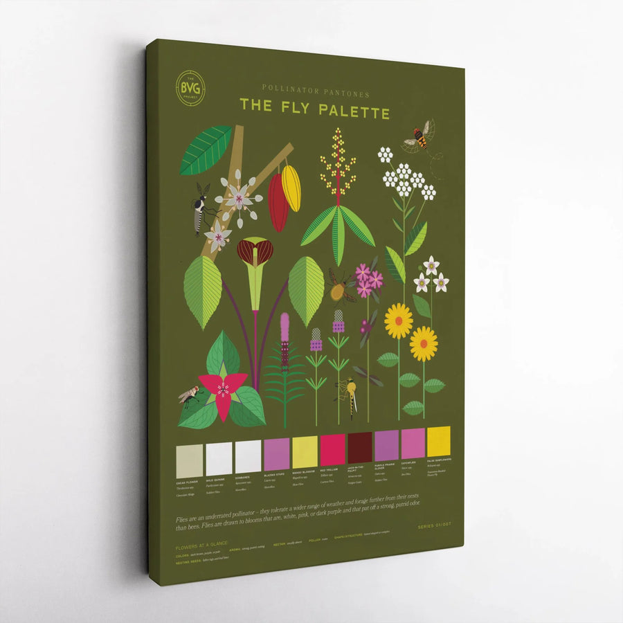 Pollinator Botanical Art Print | Fly Palette Infographic Poster | Gallery Quality 1.25" Thick Canvas | Nature Lover Science Decor Gift
