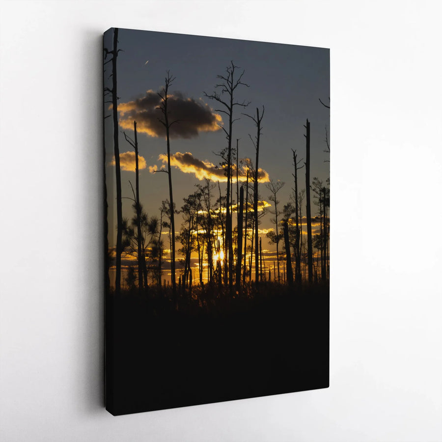Forest Sunset Canvas Wall Art | Golden Hour Tree Silhouette Print | Premium Thick Gallery Wrap | Rustic Home Decor Gift for Nature Lovers