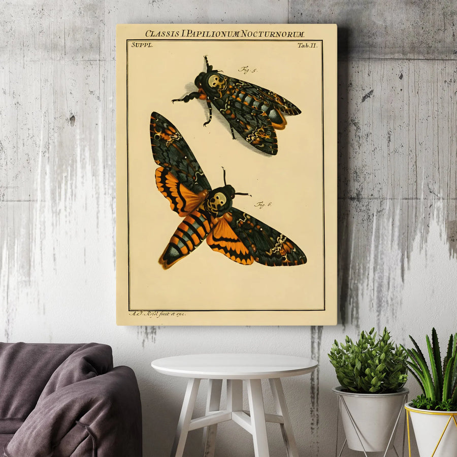 Death's-Head Hawkmoth Canvas Art | Vintage Scientific Insect Illustration | Premium Fade-Resistant Gallery Wrap | Gothic Entomology Home Decor