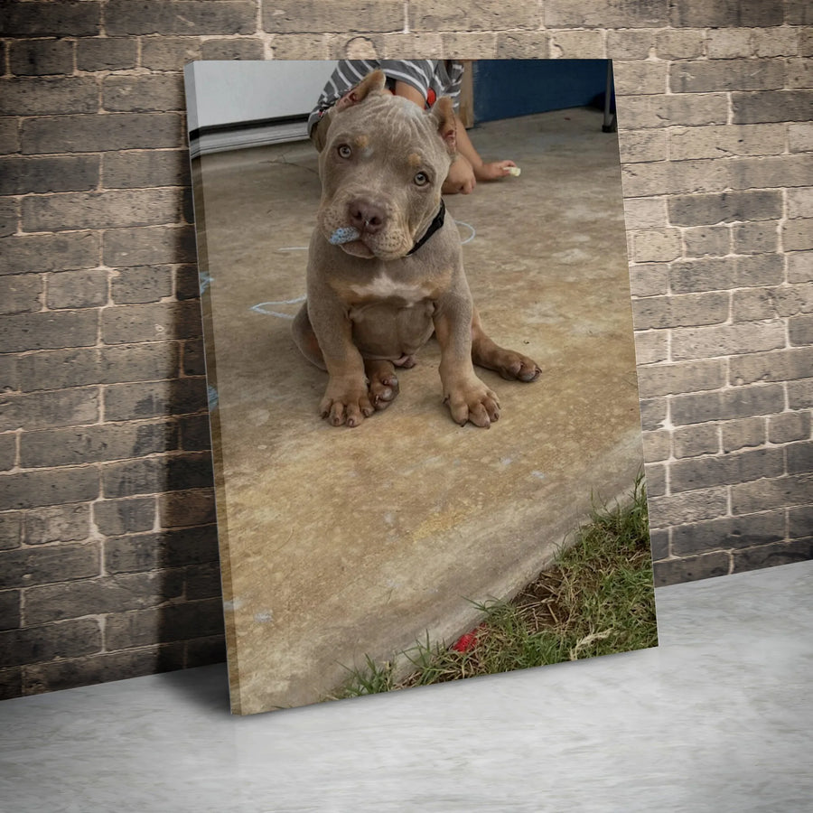 Pitbull Puppy Wall Art | Cute Blue Chalk Nose Dog Portrait | Premium 1.25 Inch Thick Canvas | Animal Lover Home Decor Gift