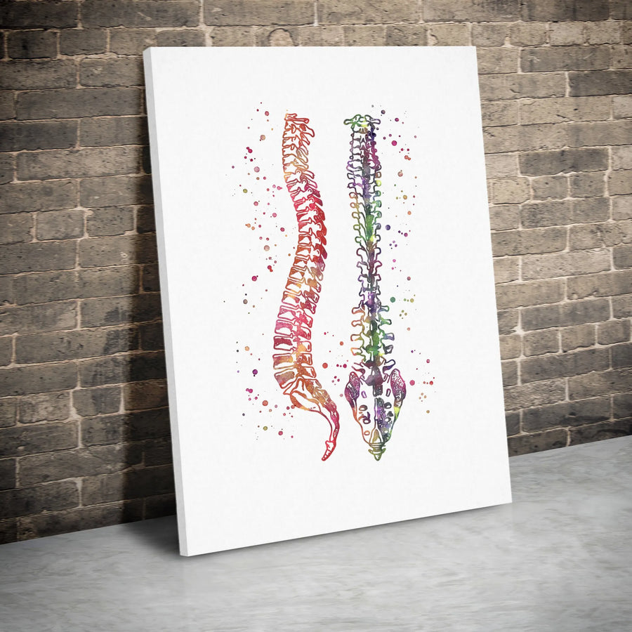 Human Spine Anatomy Canvas Print | Watercolor Medical Art | Premium Fade-Resistant Decor | Gift for Chiropractor or Physical Therapist