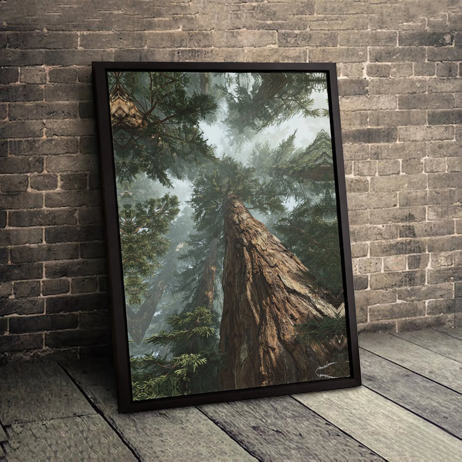 Misty Redwood Forest Canvas Print | Giant Sequoia Tree Low Angle Wall Art | Premium 1.25 Inch Gallery Wrap | Nature Lover Home Decor Gift