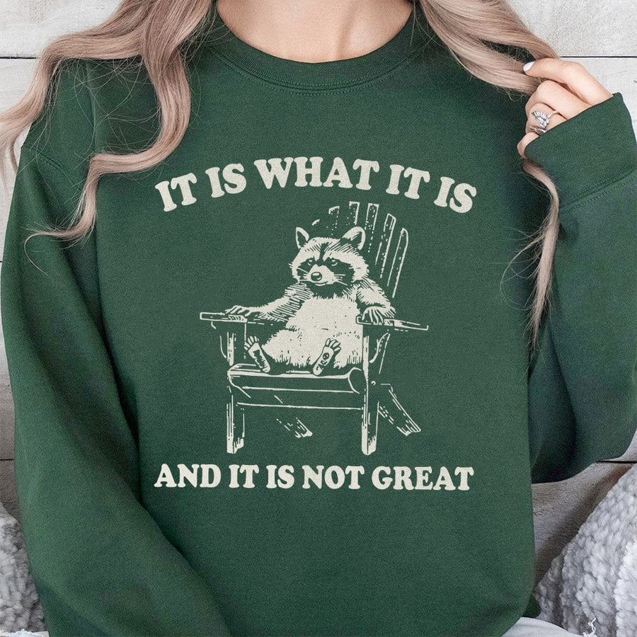 It Is What It Is And It Is Not Great Raccoon Sweatshirt | Funny Meme Graphic Pullover | Soft Cotton Blend | Unique Gift for Sarcastic People