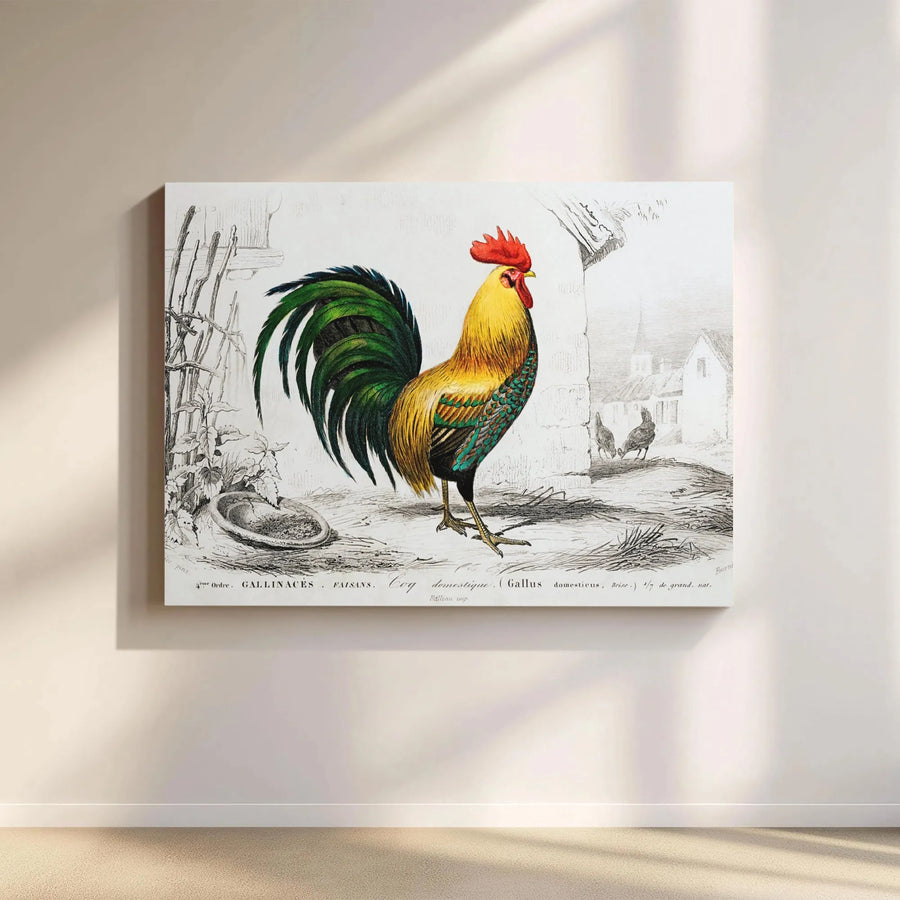 Vintage Rooster Wall Art Canvas | French Country Farmhouse Print | 1.25 Inch Gallery Wrap | Kitchen Decor For Home