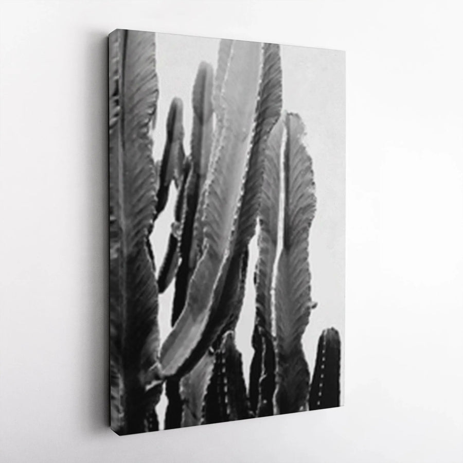 Black and White Cactus Canvas Print | Minimalist Desert Botanical Art | Premium Thick Gallery Wrap | Modern Southwestern Home Decor