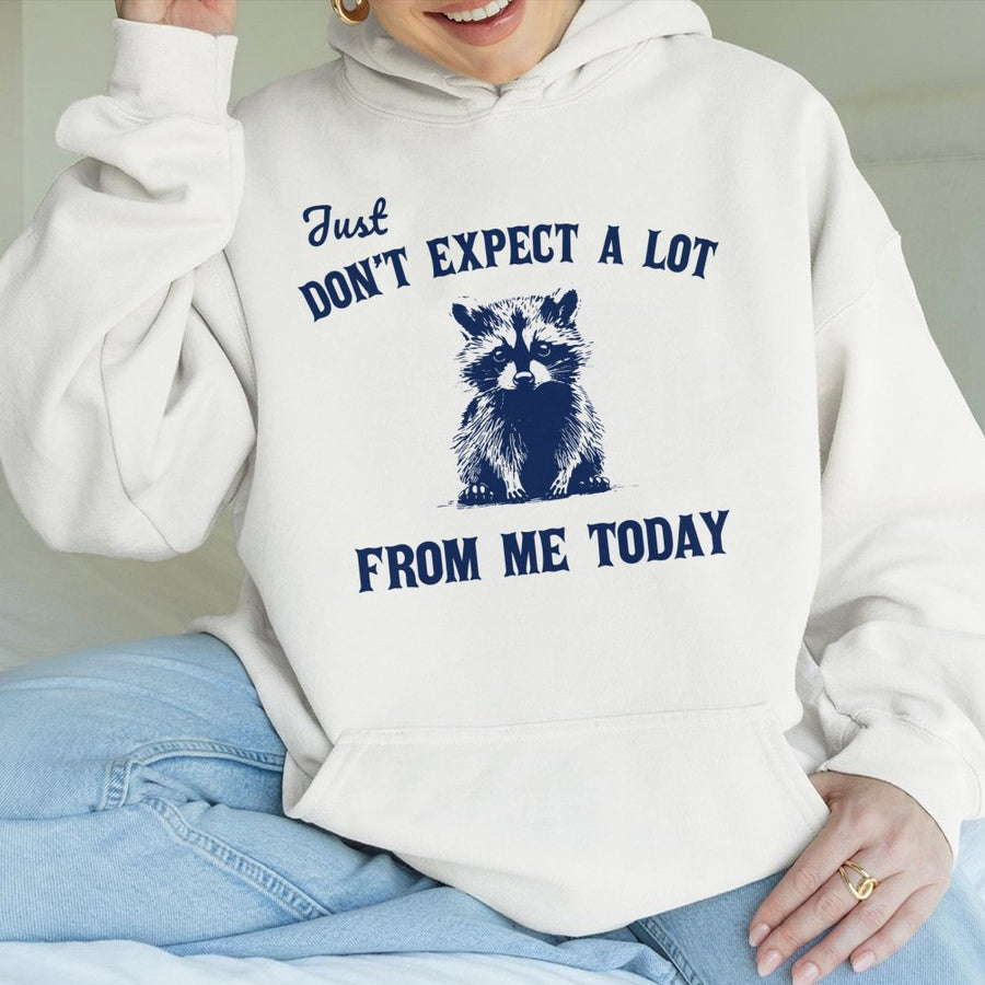Funny Raccoon Hoodie | Just Don’t Expect A Lot From Me Today Sarcastic Quote | Premium Cotton-Blend Pullover | Gift For Introverts And Animal Lovers