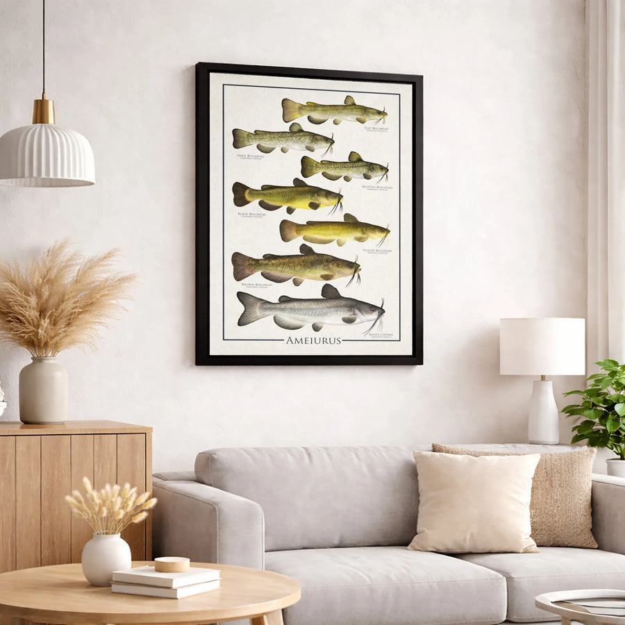 Bullhead Catfish Identification Chart Canvas | Vintage Ichthyology Fishing Poster | Premium Gallery Wrap Wall Art | Gift for Anglers & Nature Lovers