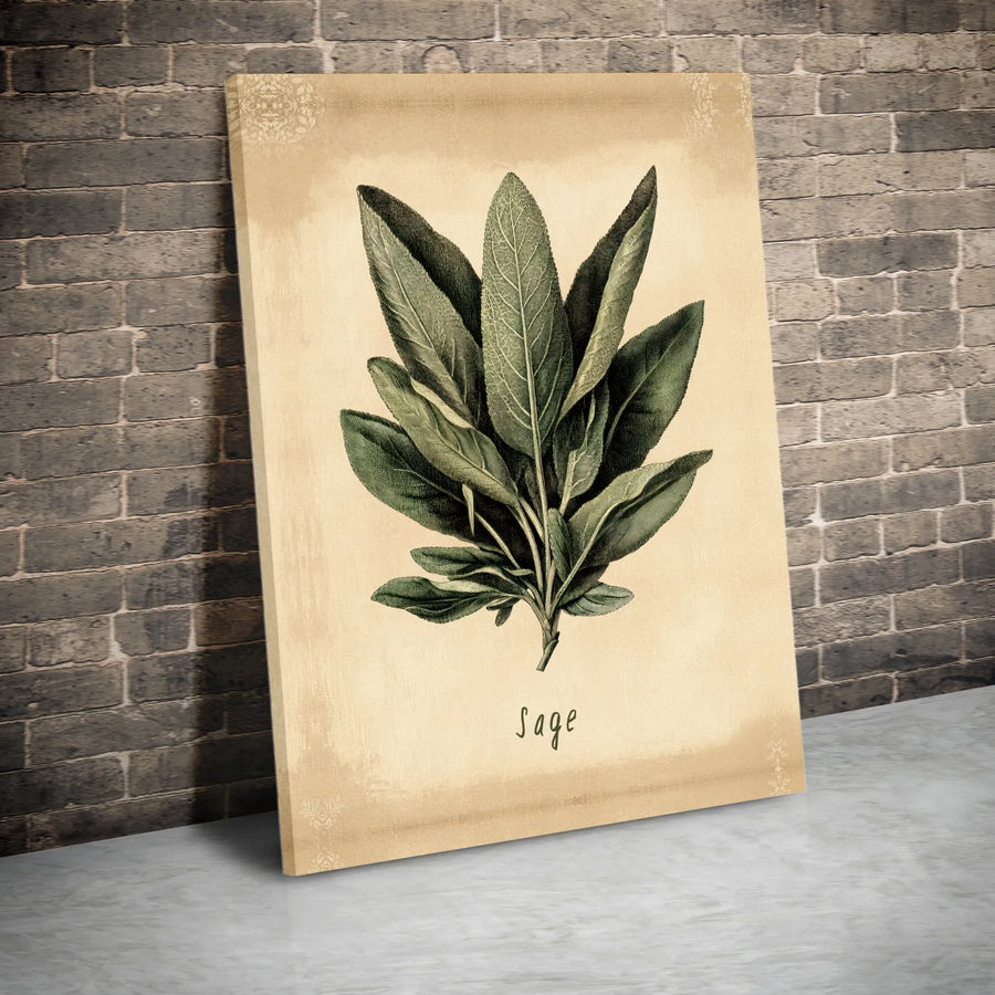 Sage Botanical Wall Art | Vintage Herb Illustration Print | Premium Gallery Wrapped Canvas | Farmhouse Kitchen Decor Gift