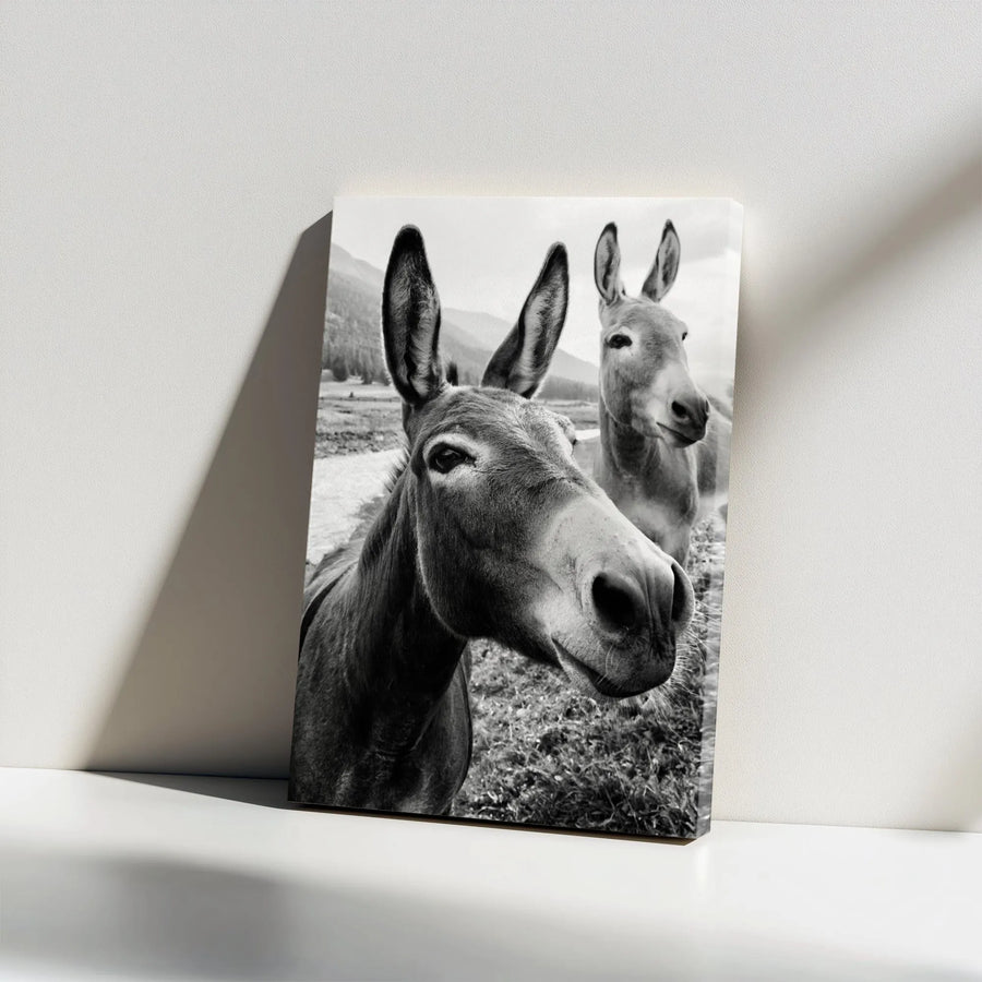 Two Donkeys Wall Art | Monochrome Farm Animal Photography | Premium 1.25" Gallery Wrap Canvas | Rustic Modern Home Decor Gift