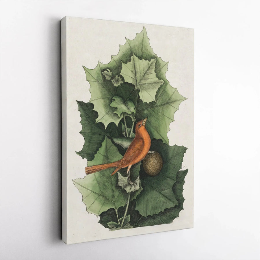 Vintage Bird Botanical Canvas Wall Art | Orange Songbird & Green Leaves Illustration | Gallery-Quality 1.25 Inch Profile | Elegant Nature Home Decor