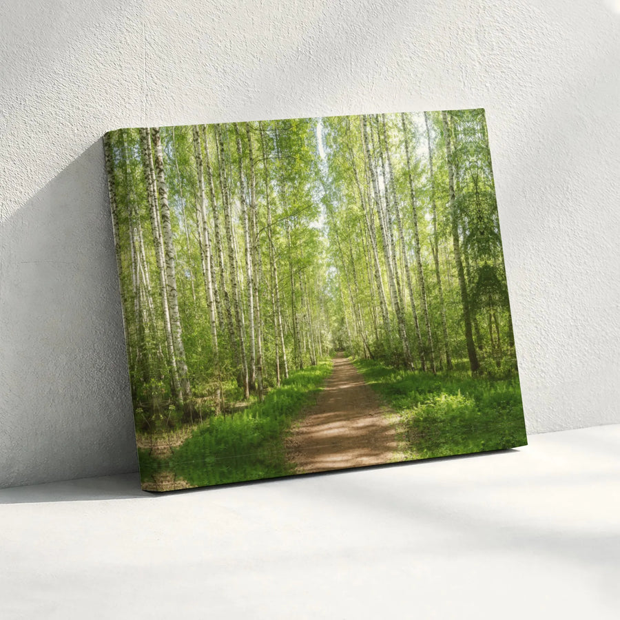 Birch Tree Forest Canvas Art | Sunlit Woodland Path Nature Print | Gallery-Quality 1.25" Wrap | Peaceful Landscape Home Decor Wall Art