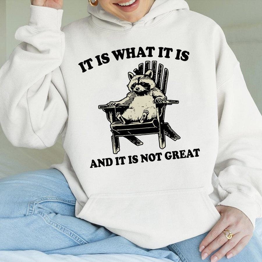 Funny Raccoon Hoodie | It Is What It Is Meme Graphic | Premium Cotton Blend Sweatshirt | Sarcastic Animal Lover Gift for Adults