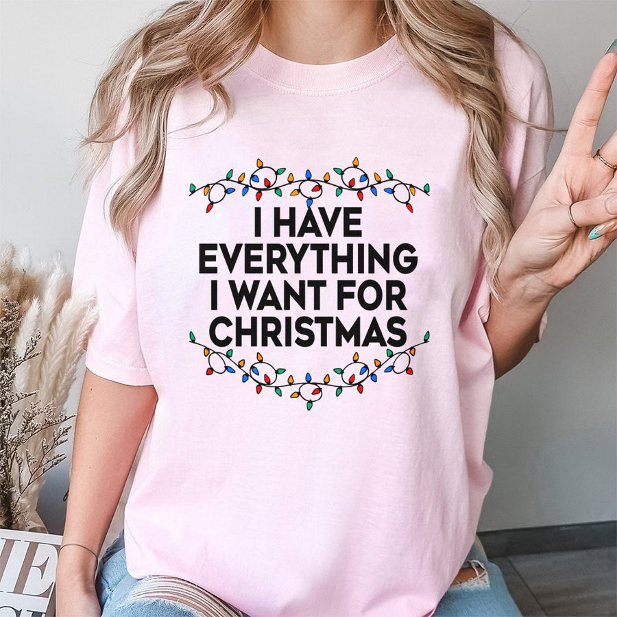 I Have Everything I Want For Christmas T-Shirt | Funny Holiday Lights Graphic Tee | Premium 100% Cotton Shirt | Festive Gift For Men & Women