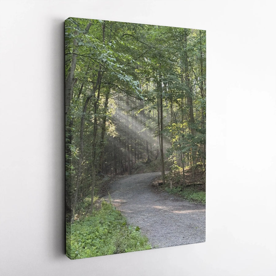 Forest Path Canvas Wall Art | Sunlight Through Trees Woodland Scenery | Premium Gallery Wrapped Canvas | Nature Lover Gift for Living Room & Office Decor
