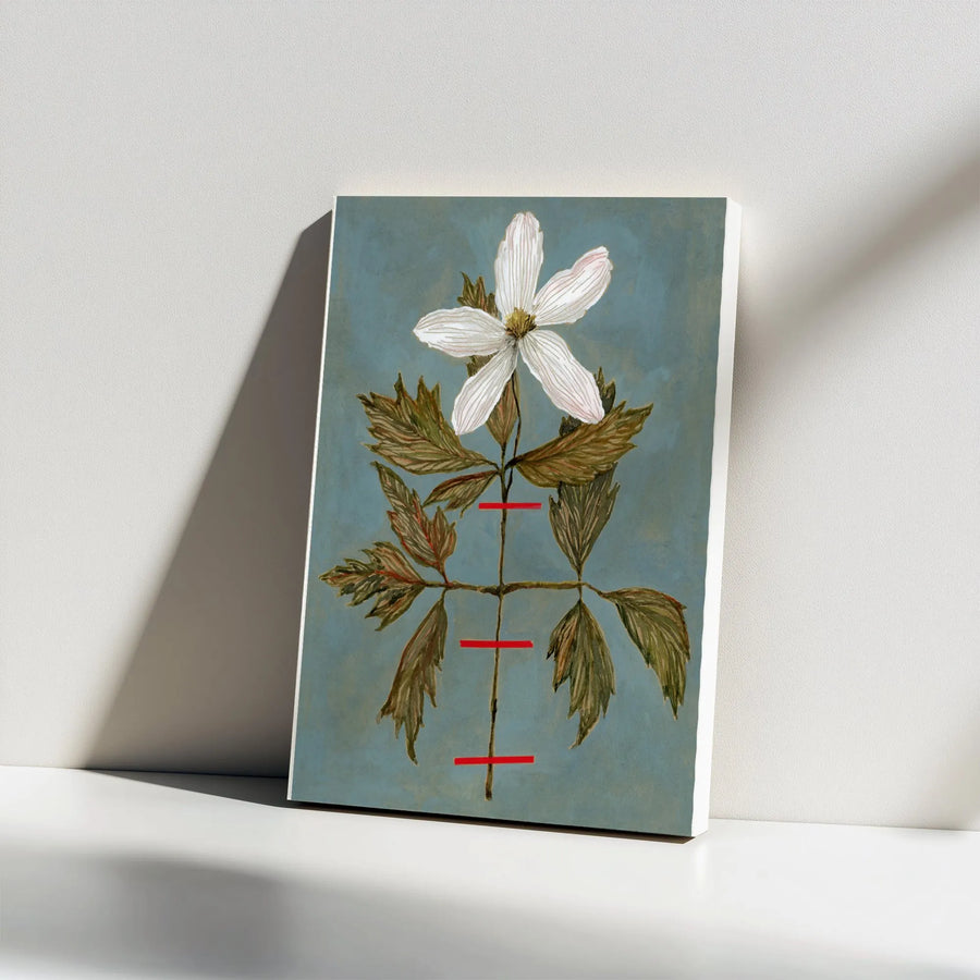 Wood Anemone Botanical Canvas Print | Vintage Herbarium Illustration | Premium Gallery Wrapped Canvas | Cottagecore Home Decor Gift for Gardener