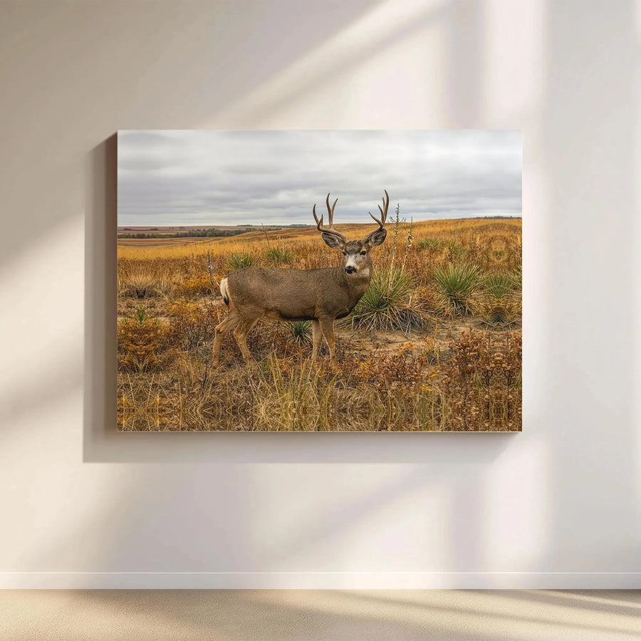 Mule Deer Canvas Wall Art | Realistic Wildlife Photography Print | Gallery Quality Thick Canvas | Rustic Home Decor Gift for Hunters