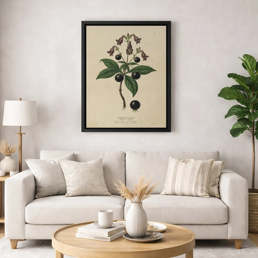 Atropa Belladonna Botanical Print | Vintage Deadly Nightshade Illustration | Gallery-Quality Canvas Wall Art | Dark Academia Home Decor