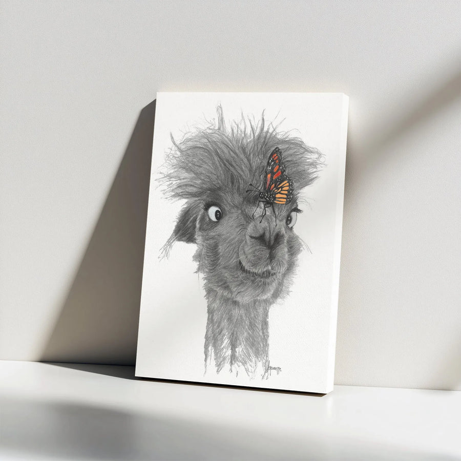 Funny Llama Canvas Print | Pencil Sketch Art with Monarch Butterfly | Premium Gallery Wall Decor | Gift for Animal Lover