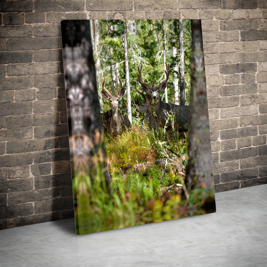 Deer Canvas Print | Realistic Mule Deer Forest Photography | Premium Gallery Wrapped Canvas | Rustic Cabin Decor Gift for Hunter