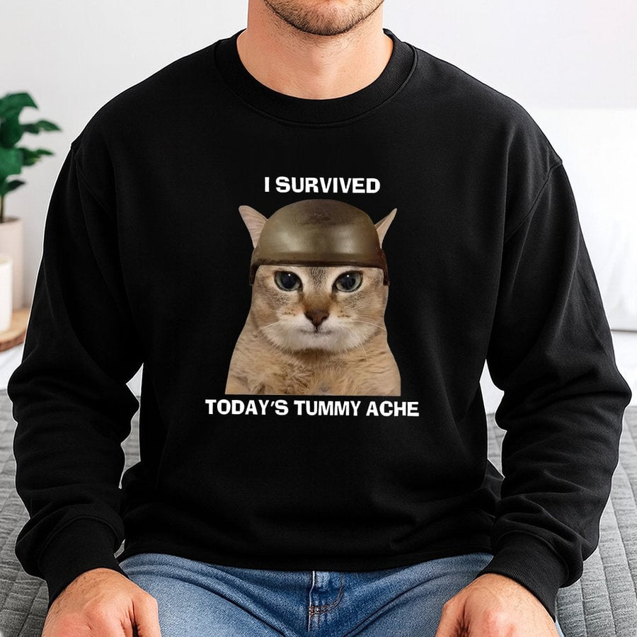 I Survived Todays Tummy Ache Sweatshirt | Funny Cat Meme Graphic | Premium Cotton Blend | Unisex Gift for Cat Lovers