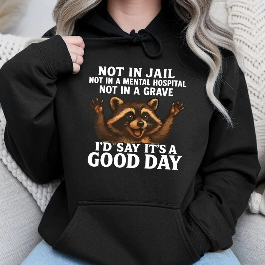 Funny Raccoon Hoodie | Not In Jail Not In A Grave Good Day Graphic | Premium Cotton Blend Sweatshirt | Sarcastic Gift For Men And Women
