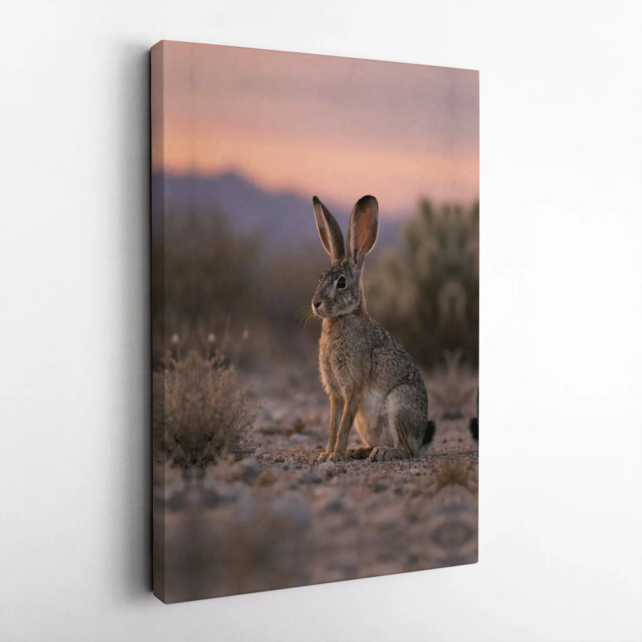 Desert Jackrabbit Canvas Print | Wildlife Photography Wall Art | Premium Gallery Wrapped Canvas | Southwestern Decor Gift for Nature Lovers