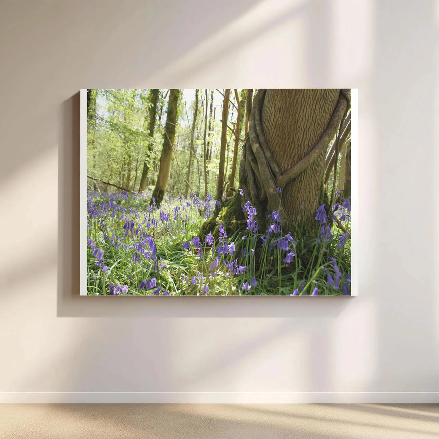 Bluebell Forest Canvas Print | Sunlit Woodland Photography Art | Premium Thick Gallery Wrap | Nature Lover Wall Decor Gift