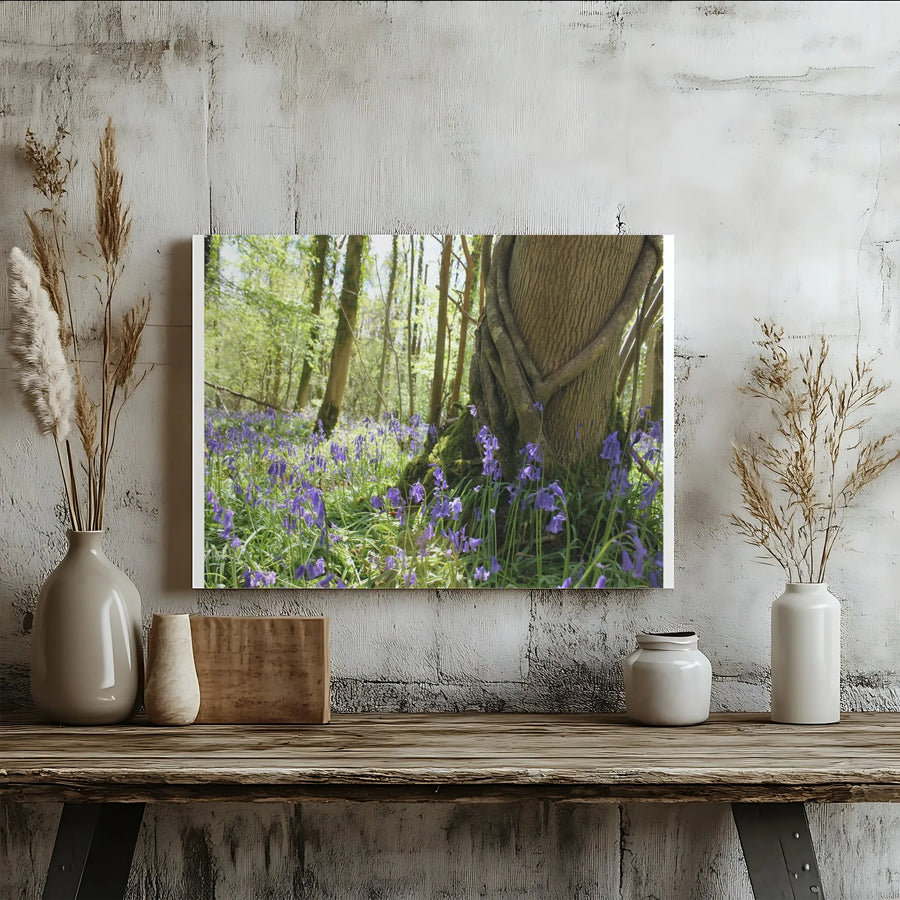 Bluebell Forest Canvas Print | Sunlit Woodland Photography Art | Premium Thick Gallery Wrap | Nature Lover Wall Decor Gift