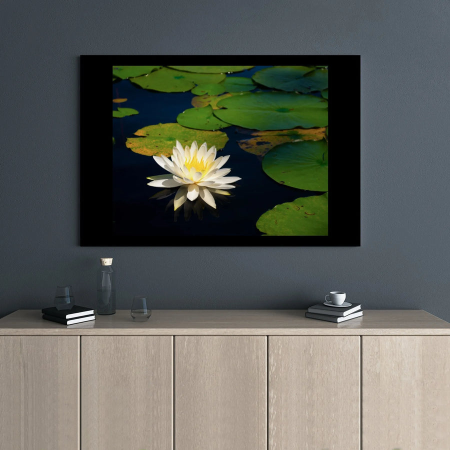 White Water Lily Canvas Art | Botanical Pond Photography Print | Premium Gallery Wrap Wall Decor | Nature-Inspired Home Gift for Living Room