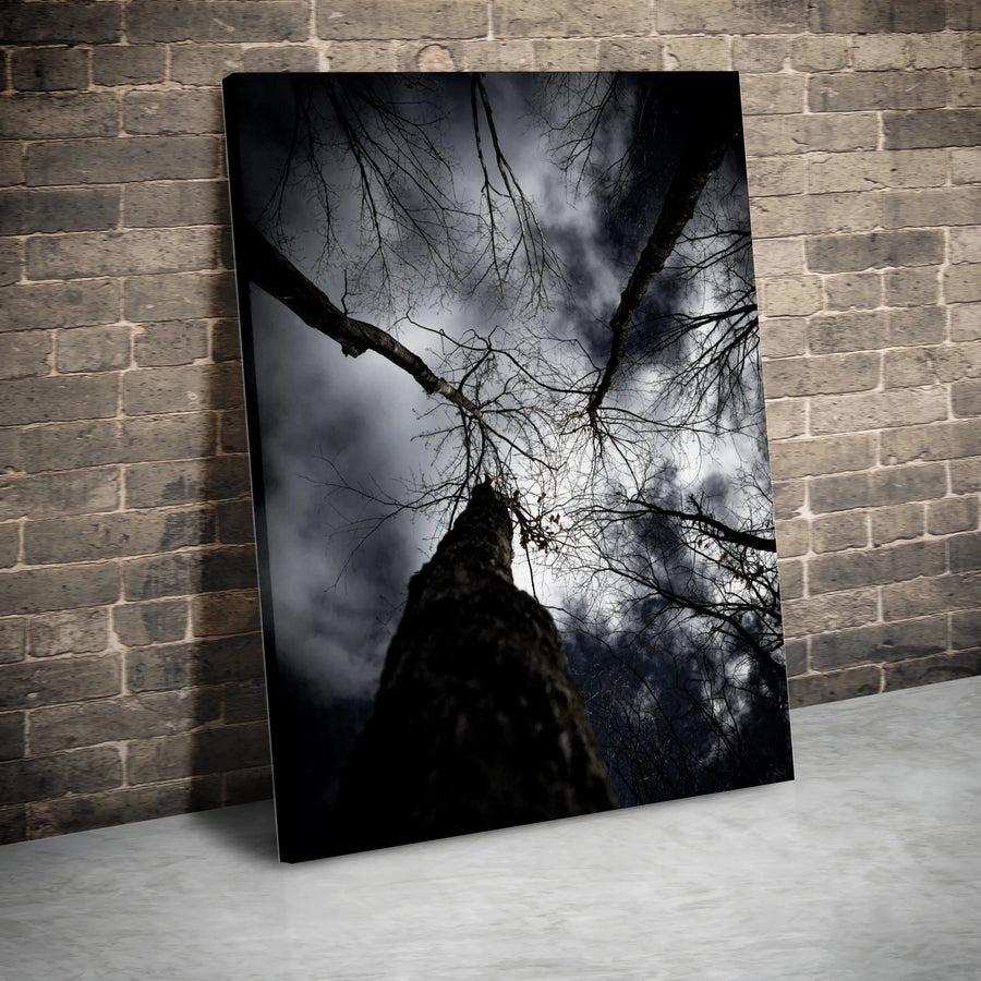 Dark Forest Canvas Wall Art | Looking Up at Winter Trees Photography | Premium Gallery Wrapped Canvas | Gothic Home Decor Gift