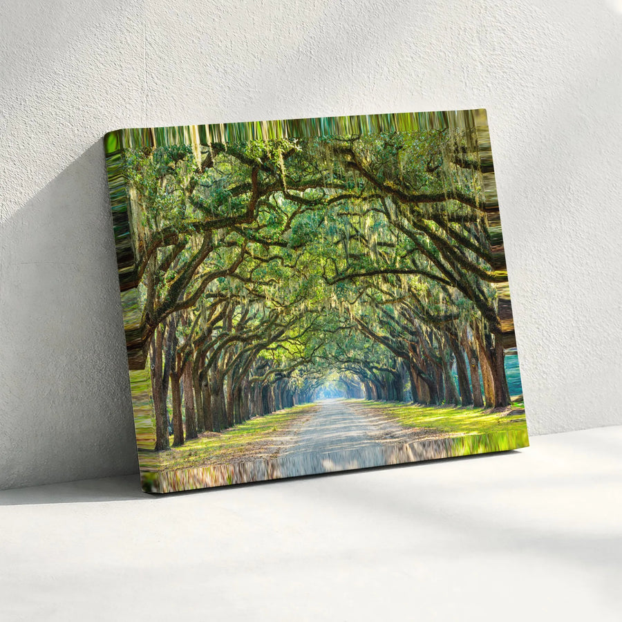 Oak Alley Canvas Wall Art | Surreal Tree Tunnel with Glitch Effect | Premium Gallery Wrapped Print | Southern Landscape Living Room Decor