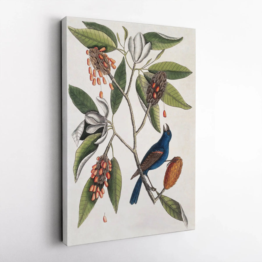 Vintage Botanical Bird Canvas Art | Antique Magnolia & Blue Bird Illustration | Premium Gallery Wrapped Canvas | Collector's Nature Wall Decor Gift