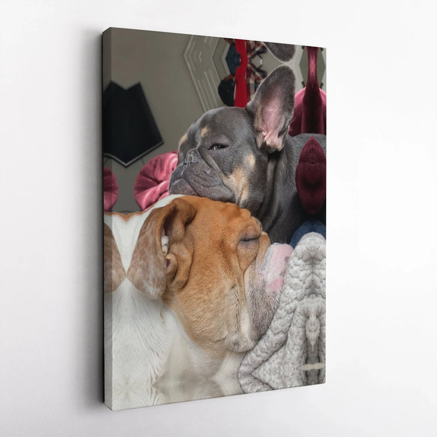 Sleeping Bulldog Canvas Wall Art | Frenchie and English Bulldog Cuddle Print | 1.25 Inch Premium Gallery Wrap | Dog Lover Home Decor Gift