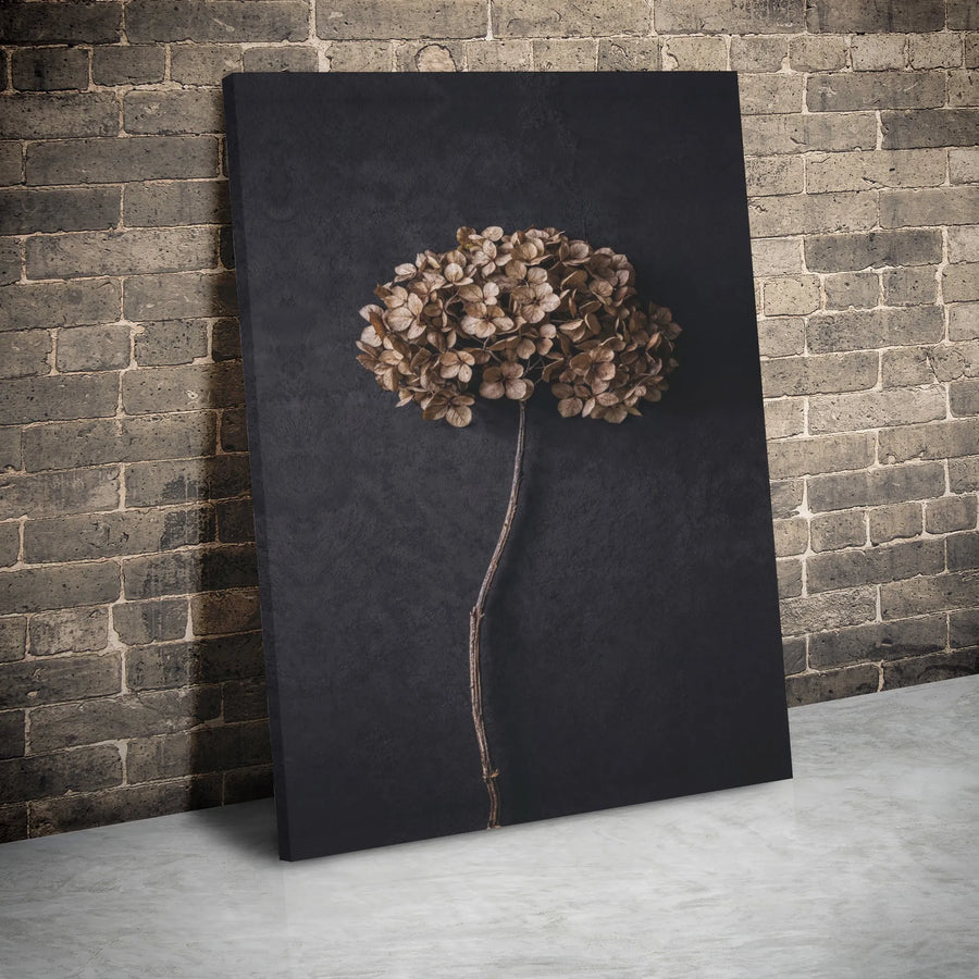 Dried Hydrangea Canvas Wall Art | Minimalist Botanical Flower Print | 1.25 Inch Gallery Wrap | Modern Farmhouse Home Decor