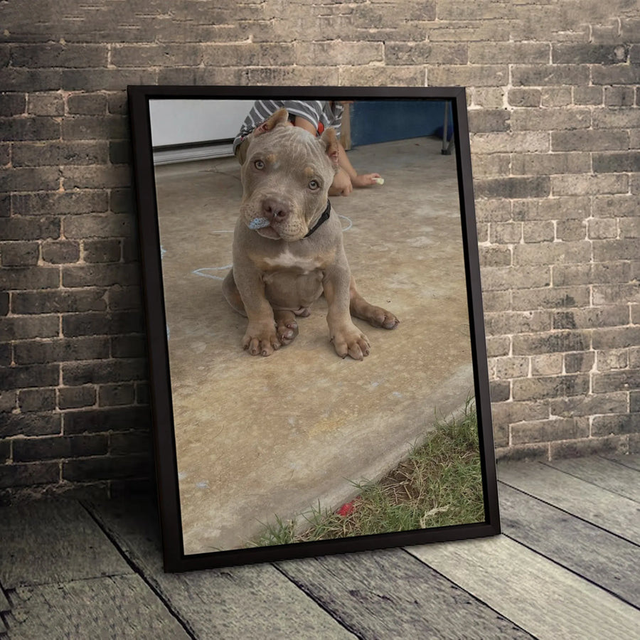 American Bully Puppy Wall Art | Adorable Pitbull Dog Photography | 1.25" Premium Gallery Wrapped Canvas | Home Decor Gift for Dog Lovers