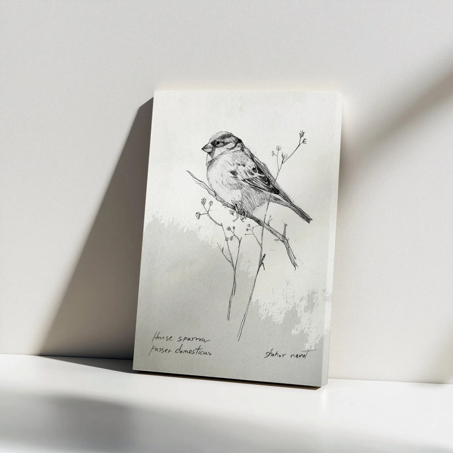 Sparrow Sketch Vertical Canvas | Vintage Naturalist Bird Illustration | Premium Thick Gallery Wrap Art | Gift for Bird Lover, Farmhouse Decor