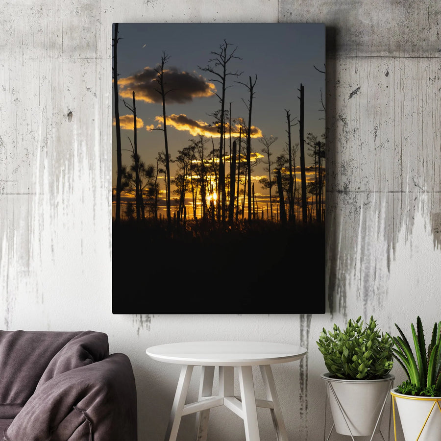 Forest Sunset Canvas Wall Art | Golden Hour Tree Silhouette Print | Premium Thick Gallery Wrap | Rustic Home Decor Gift for Nature Lovers