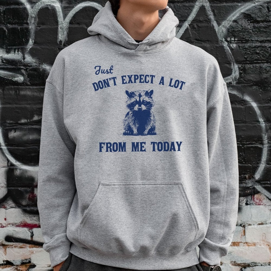 Don't Expect A Lot From Me Today Hoodie | Funny Sarcastic Raccoon Graphic | Premium Cotton-Poly Blend | Cozy Gift For Introverts And Meme Lovers