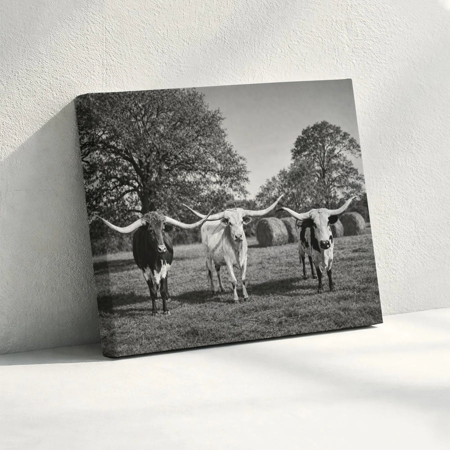 Texas Longhorn Wall Art | Black and White Cattle Farmhouse Canvas | Premium Gallery Wrapped Print | Modern Western Home Decor Gift